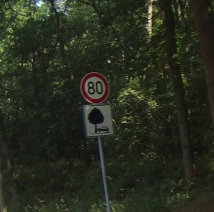 answers on a postcard...